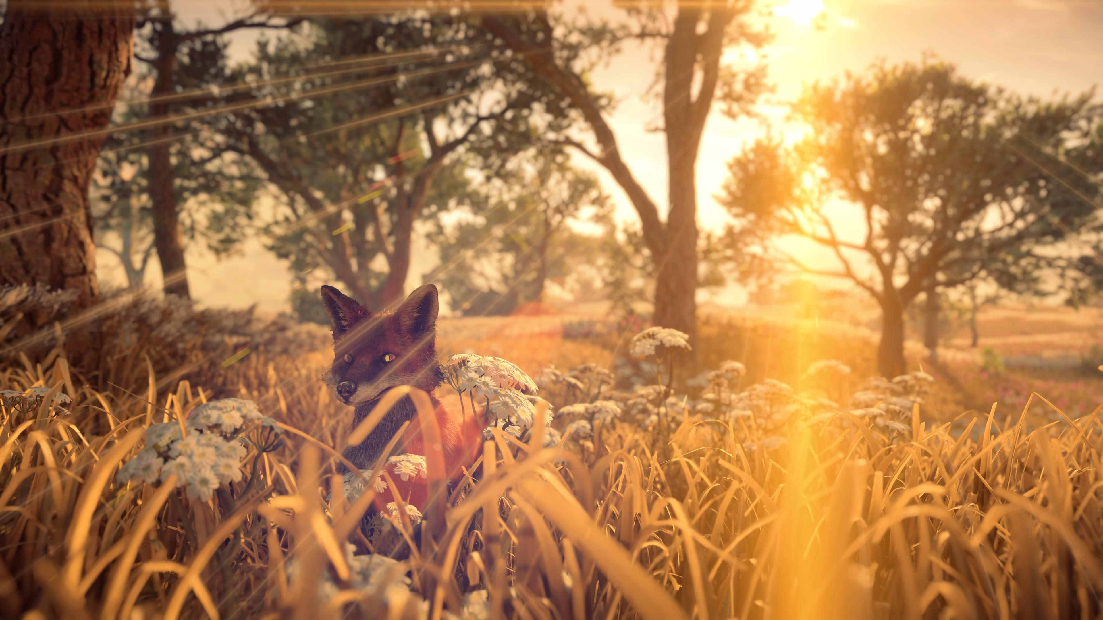 Horizon Forbidden West_20220409221740